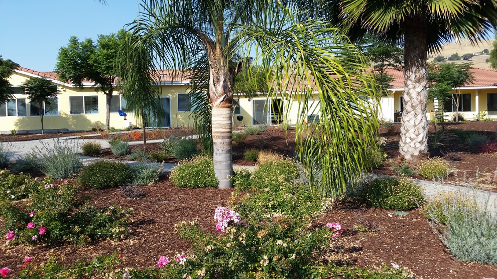 Foto di un ampio giardino classico esposto in pieno sole dietro casa con pavimentazioni in cemento