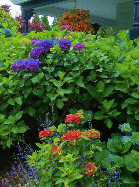 Necesario trabajador cerca 8 flores y plantas perfectas para el jardín