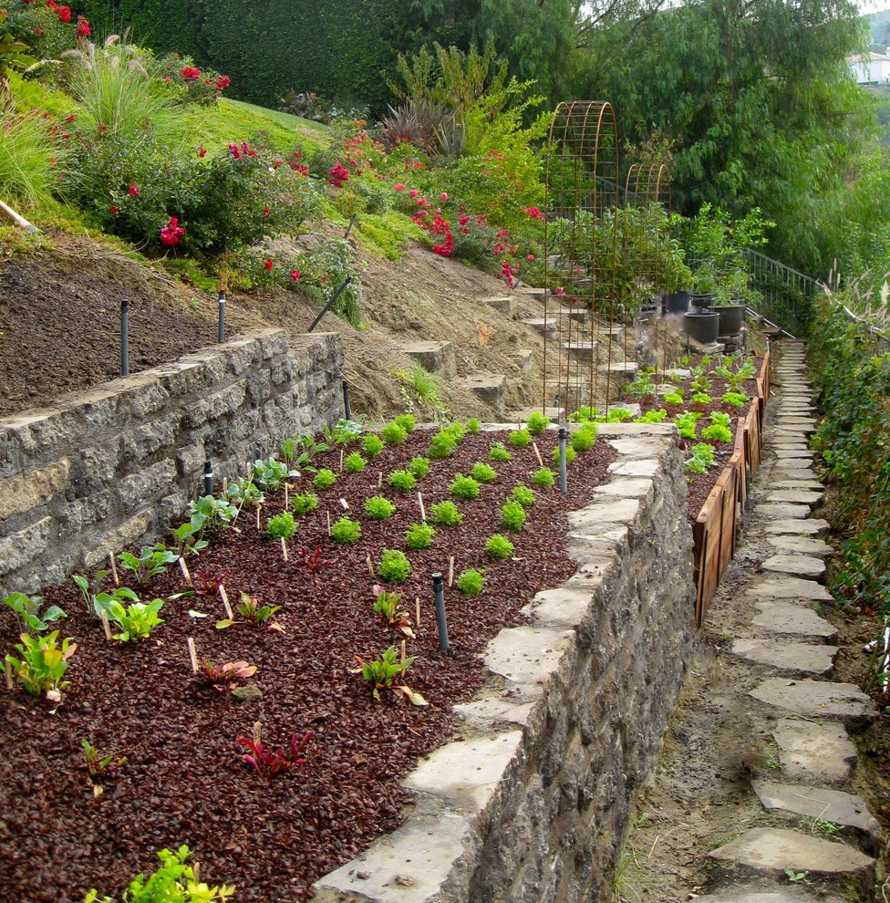 Design ideas for a traditional vegetable garden landscape in Los Angeles.