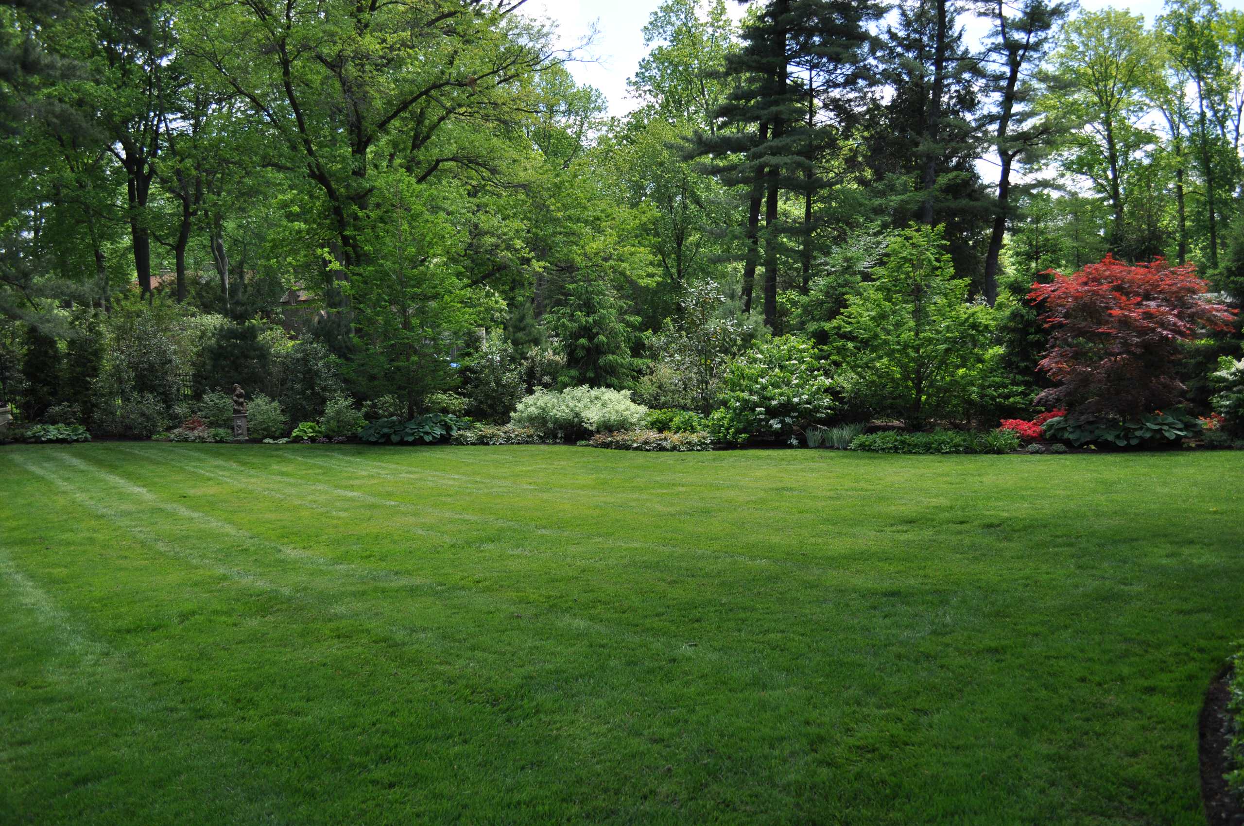 Идеальный газон в саду: ликбез для новичков