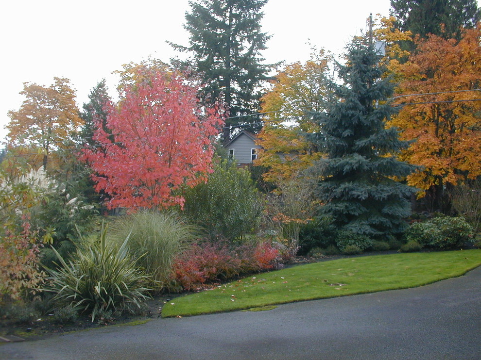 This is an example of a large contemporary front driveway full sun garden for autumn in Portland.