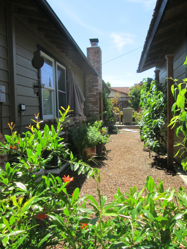 A Cool Mediterranean Mountain View Garden Eclectic Landscape San