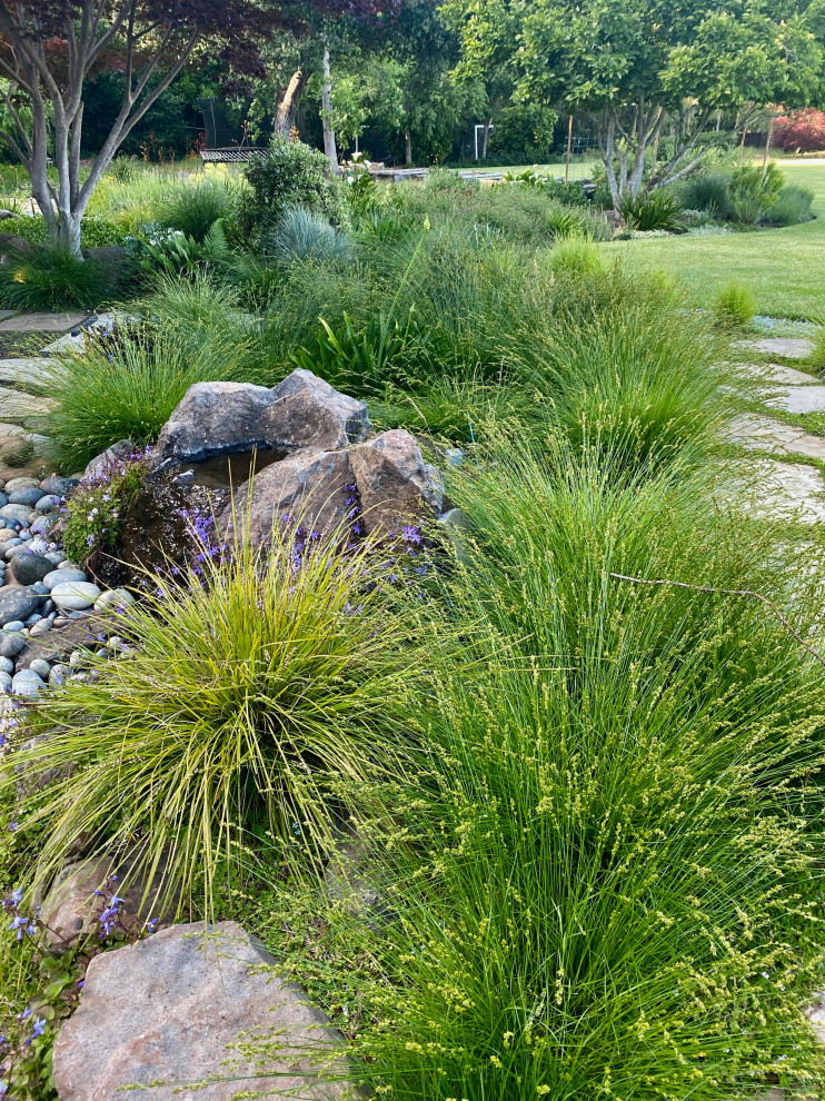 Immagine di un grande giardino formale design esposto a mezz'ombra dietro casa in estate con un ingresso o sentiero e pavimentazioni in pietra naturale