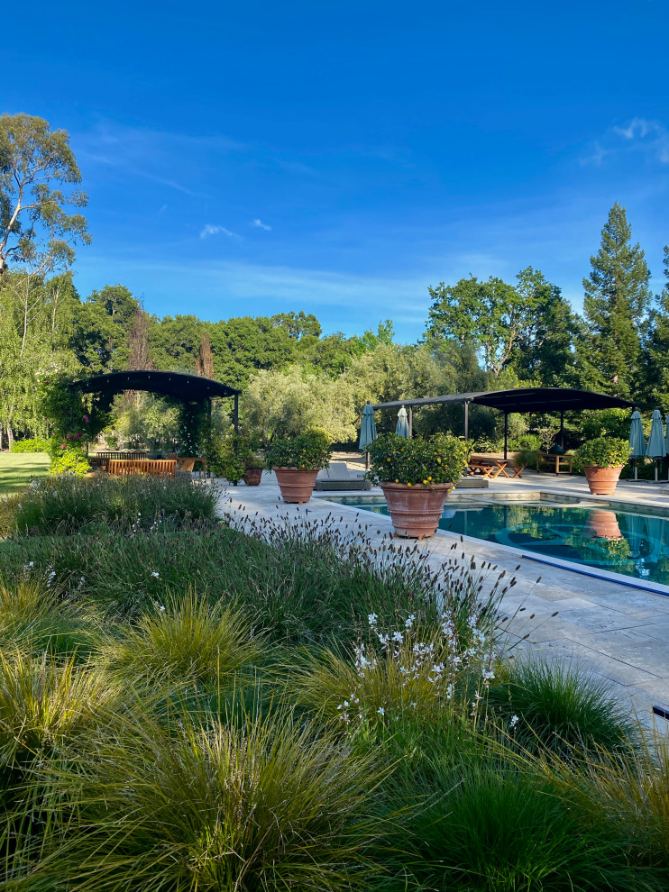 Aménagement d'un grand jardin arrière contemporain l'été avec une exposition partiellement ombragée et des pavés en pierre naturelle.