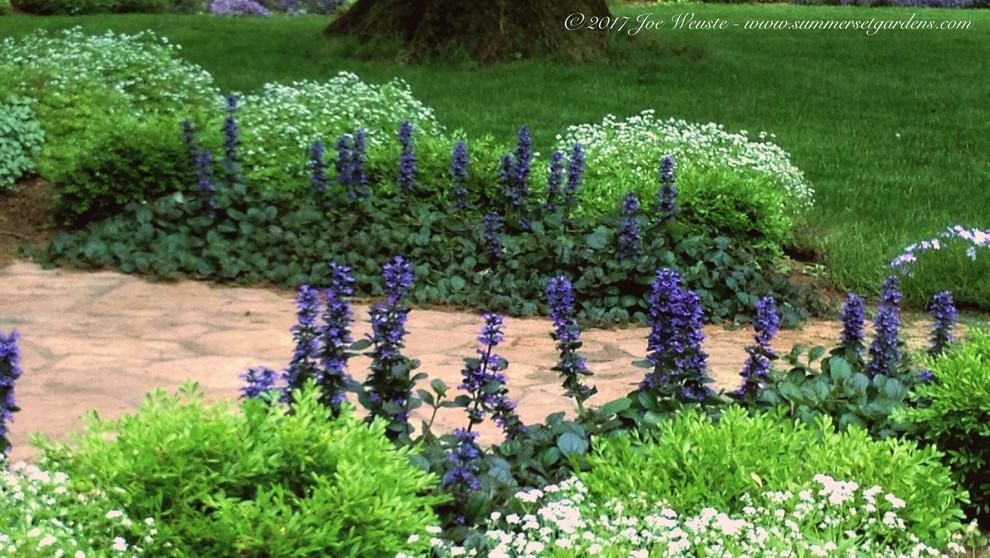 中くらいな、春のトラディショナルスタイルのおしゃれな前庭 (庭への小道、半日向、天然石敷き) の写真