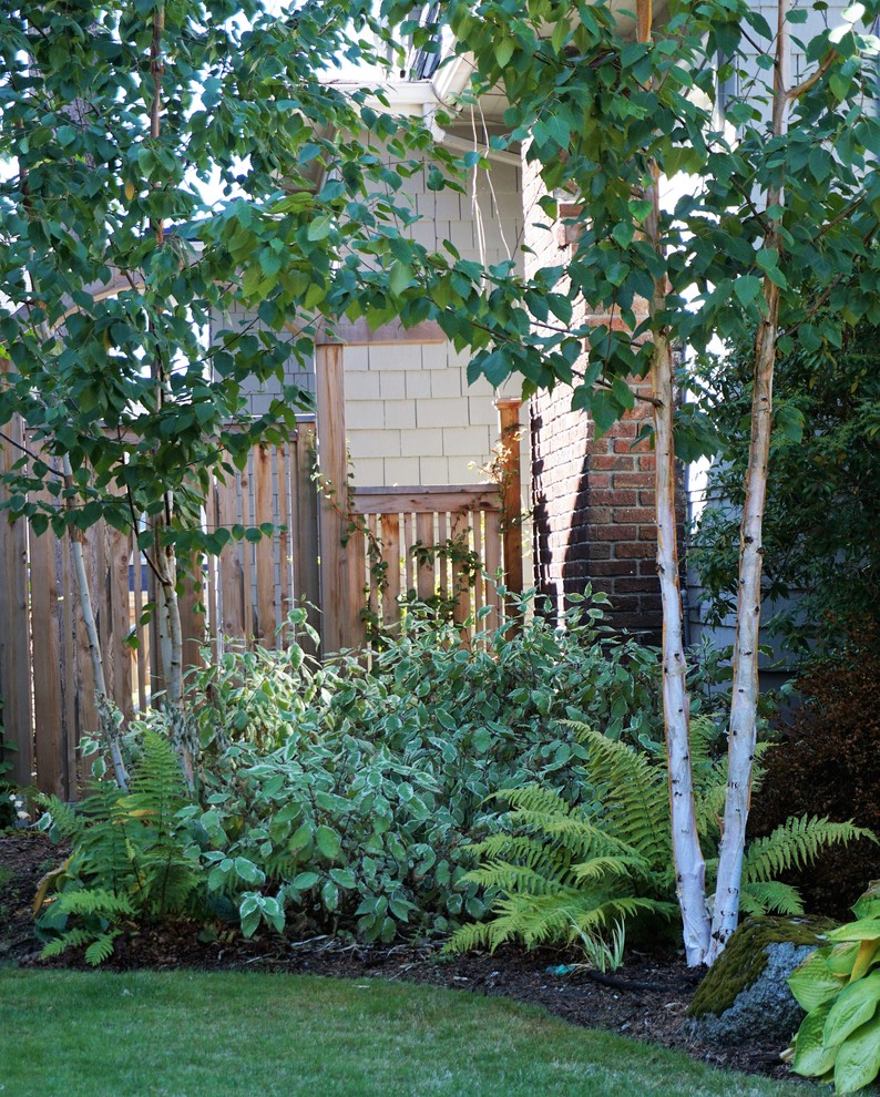 シアトルにあるおしゃれな庭の写真
