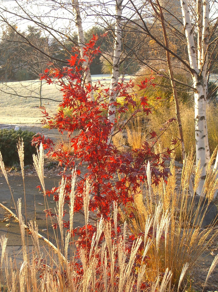 A Garden for Every Season - Traditional - Landscape - Milwaukee - by