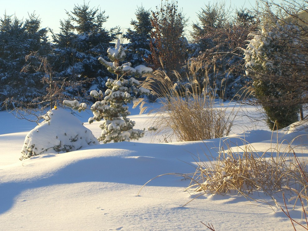 Exemple d'un très grand jardin arrière chic l'hiver avec une exposition partiellement ombragée.
