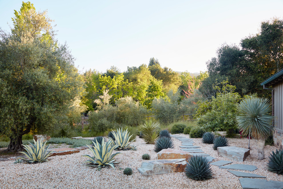 Design ideas for a mid-sized rustic drought-tolerant and partial sun backyard gravel retaining wall landscape in San Francisco for summer.