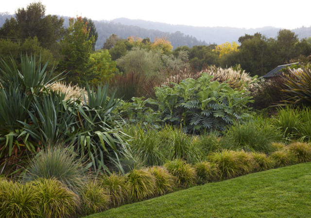 Inspiration for an expansive rustic side garden in San Francisco with a garden path.