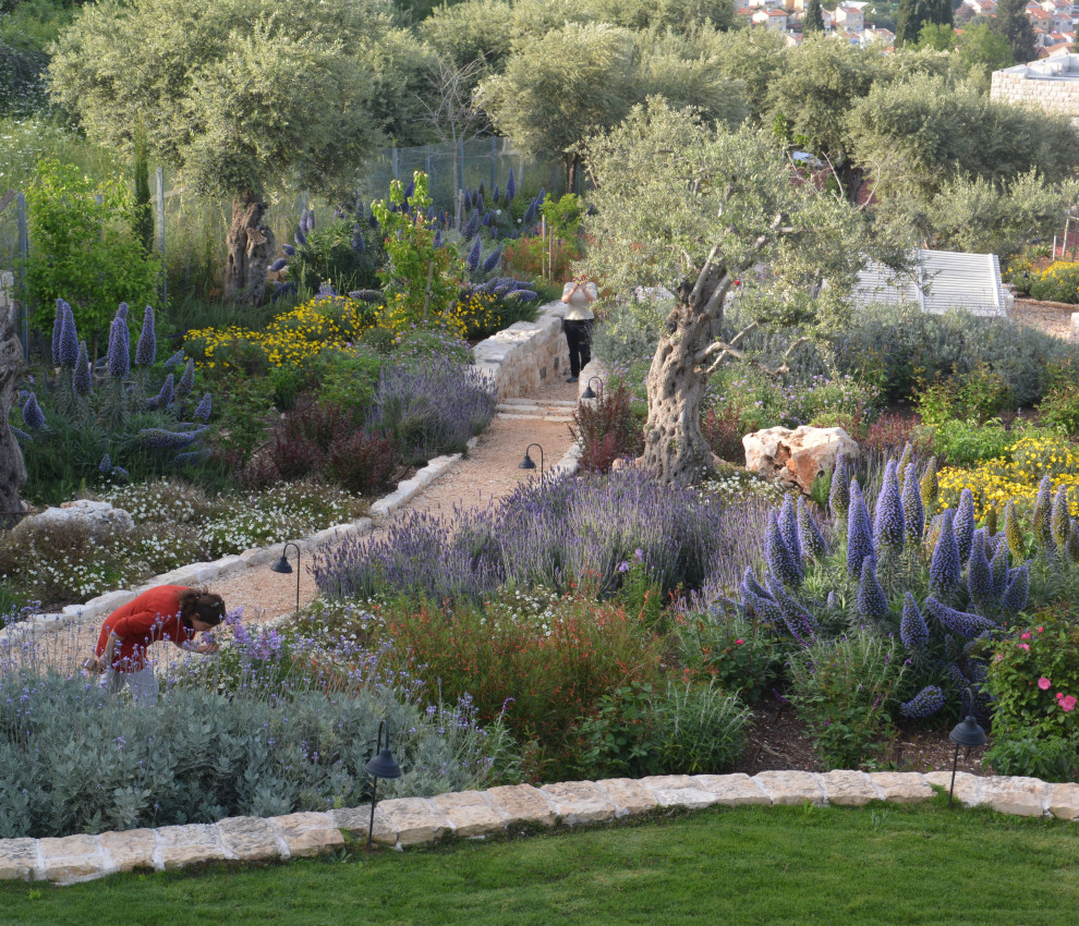Immagine di un grande giardino mediterraneo esposto in pieno sole con pavimentazioni in pietra naturale