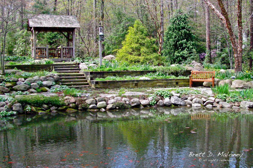 Cette image montre un grand jardin arrière craftsman l'été avec une exposition partiellement ombragée, des pavés en pierre naturelle et un point d'eau.