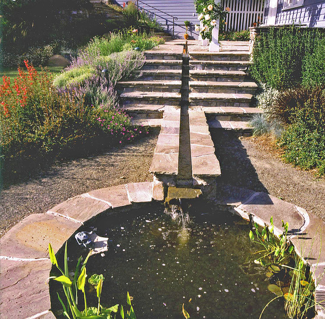 A Larkspur Garden Traditional Garden San Francisco by Simmonds