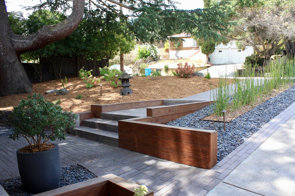 Small world-inspired front fully shaded garden in San Francisco.