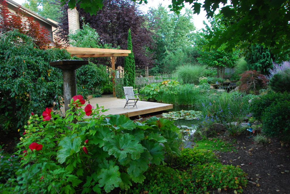 Foto de jardín de secano contemporáneo de tamaño medio en verano en patio trasero con estanque, exposición parcial al sol y entablado