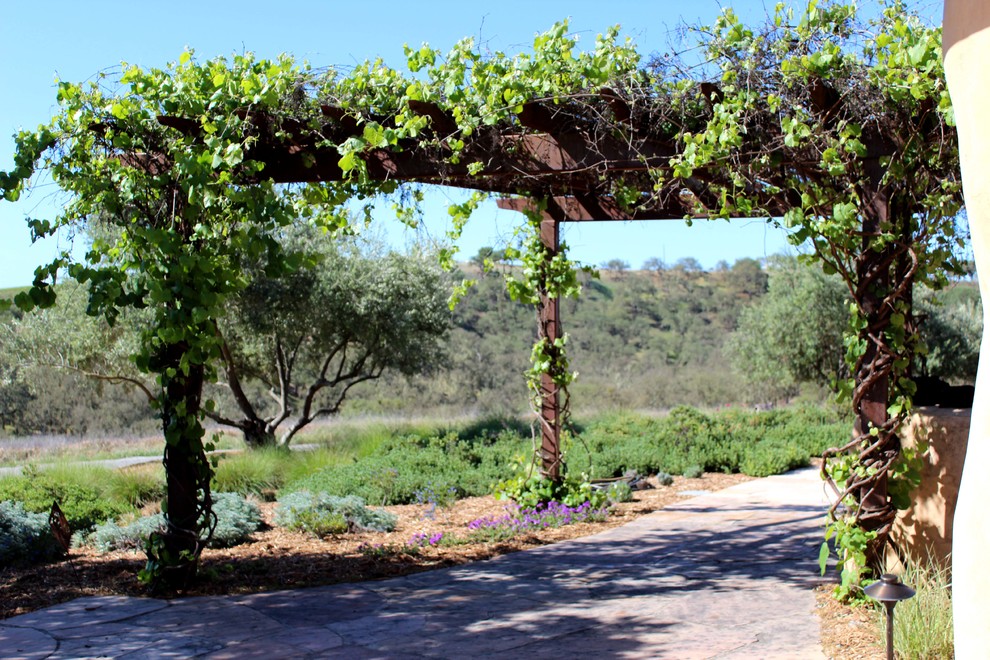 Photo of a mediterranean landscaping in San Luis Obispo.