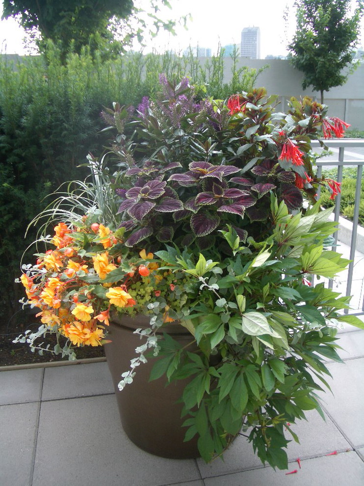 Design ideas for a tropical landscaping in Vancouver.