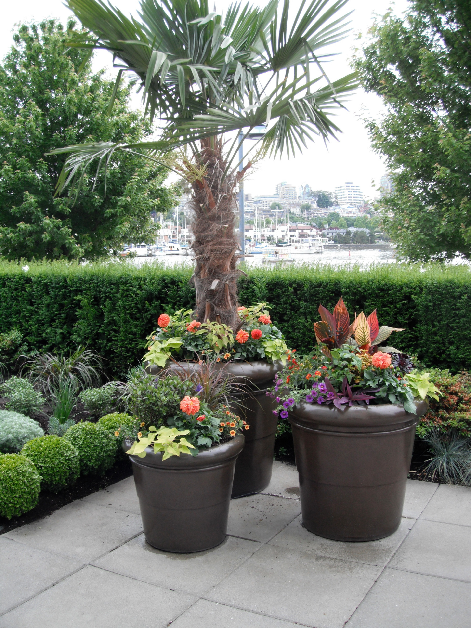 Landscape Design with Palm Trees in Vancouver BC