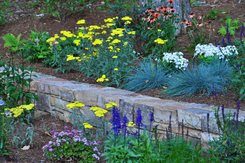 Photo of a modern landscaping in Charlotte.