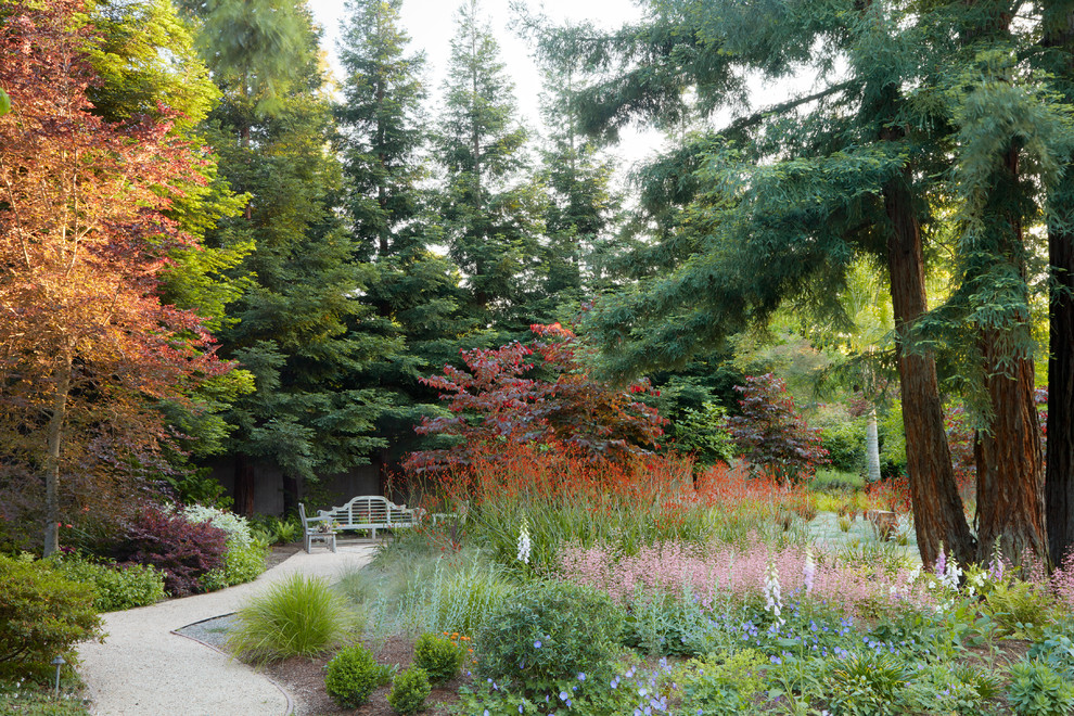 サンフランシスコにある高級な広い、春の地中海スタイルのおしゃれな前庭 (ゼリスケープ、日向、砂利舗装) の写真