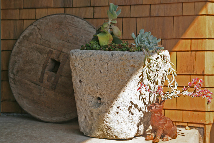 Esempio di un giardino formale american style esposto a mezz'ombra di medie dimensioni e davanti casa con un giardino in vaso e pavimentazioni in cemento