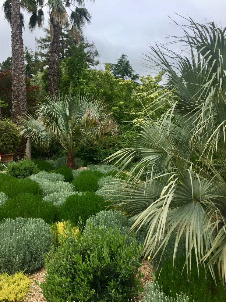 Ispirazione per un giardino xeriscape mediterraneo esposto in pieno sole di medie dimensioni con un ingresso o sentiero, un pendio, una collina o una riva e ghiaia