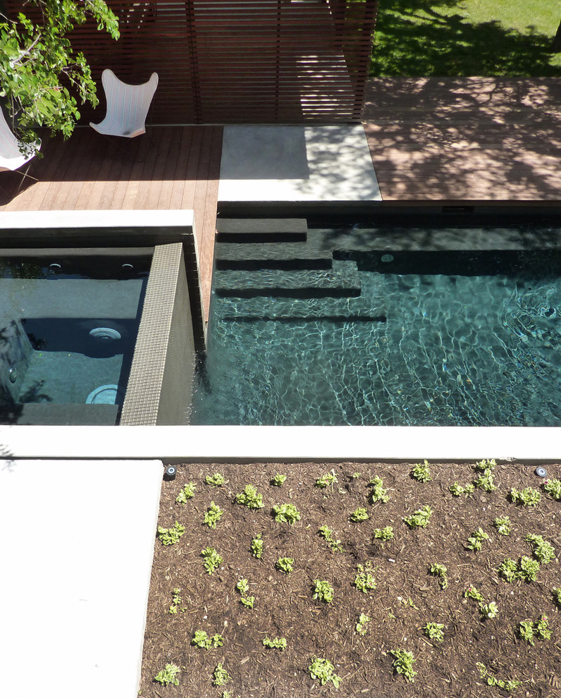 Inspiration for a mid-century modern landscaping in Austin.