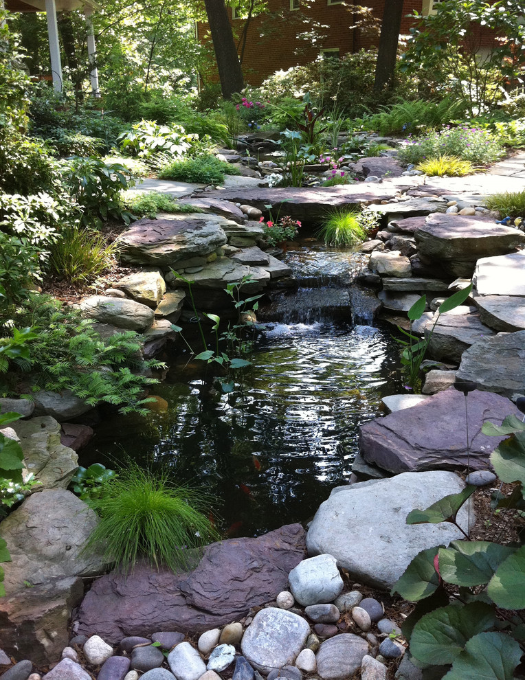 A Pond for the Front Entry Eclectic Landscape DC Metro by Mary