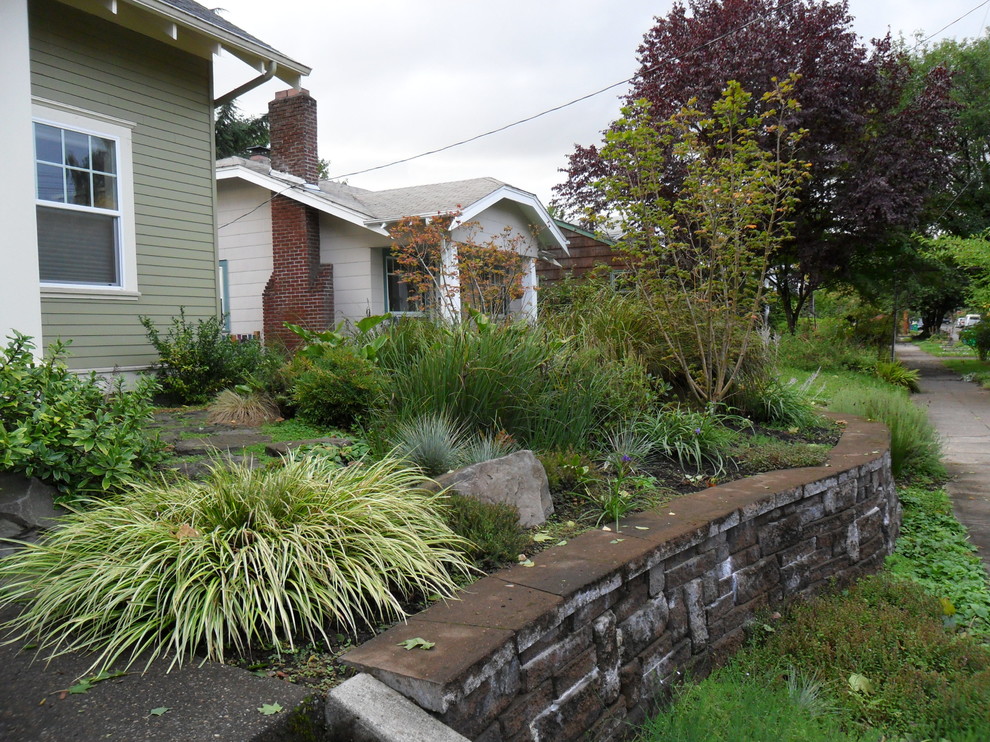 Idéer för att renovera en liten amerikansk trädgård framför huset på hösten, med en trädgårdsgång