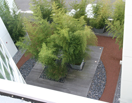 Idée de décoration pour un petit jardin minimaliste l'hiver avec une terrasse en bois et une exposition partiellement ombragée.