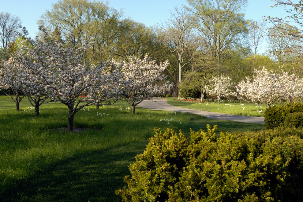 Cette photo montre un très grand jardin arrière victorien au printemps avec une exposition ensoleillée.