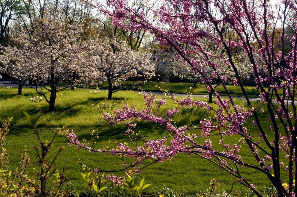 Idées déco pour un très grand jardin arrière victorien au printemps avec une exposition ensoleillée.