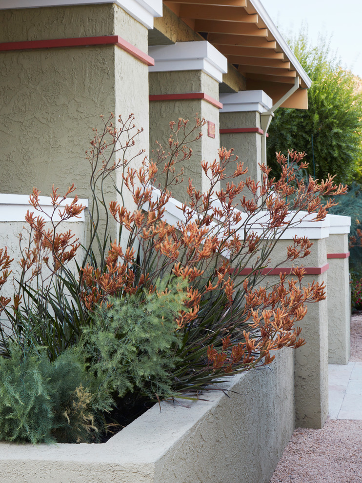 Ispirazione per un piccolo giardino american style esposto in pieno sole davanti casa in primavera con pavimentazioni in cemento