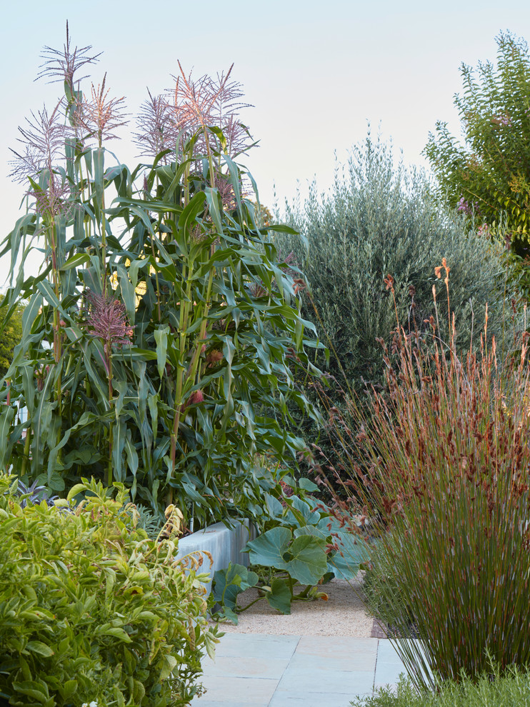 A San Jose Edible Garden - Craftsman - Landscape - San Francisco - by