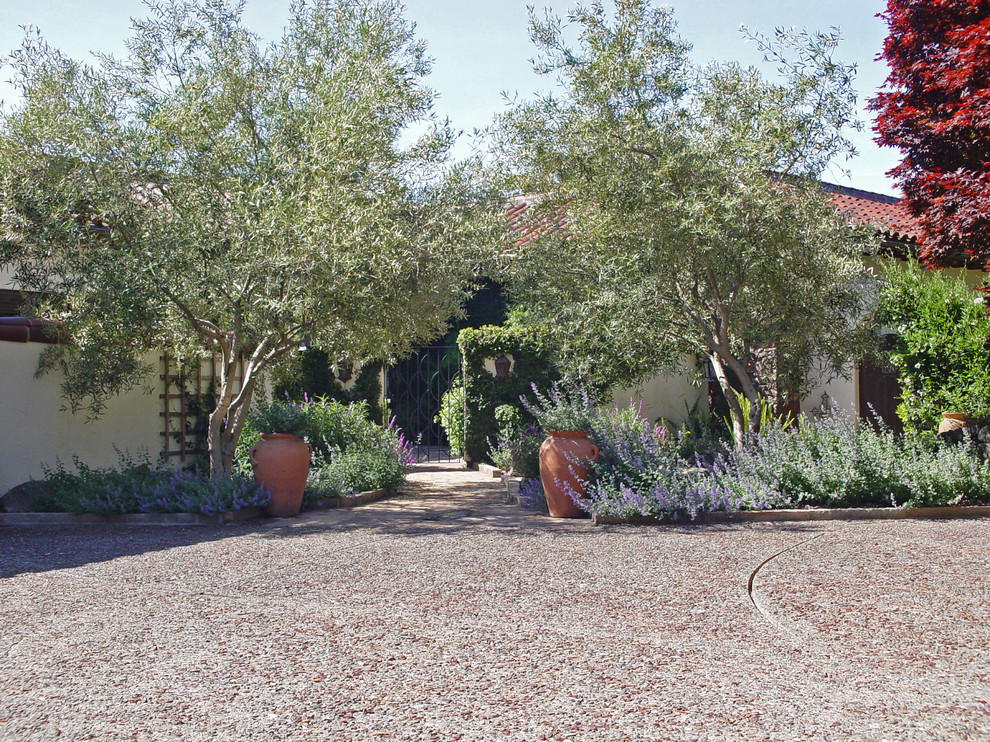 Modelo de jardín de secano mediterráneo grande en patio delantero