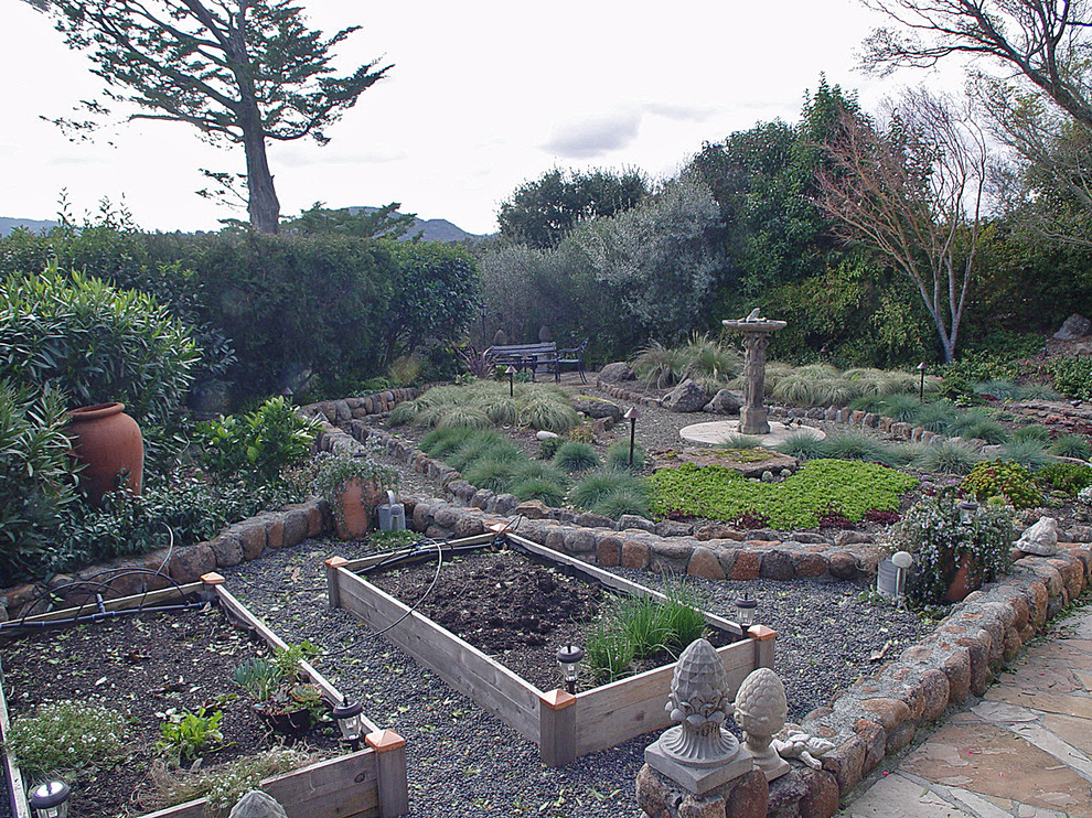 Diseño de jardín de secano mediterráneo grande en patio trasero