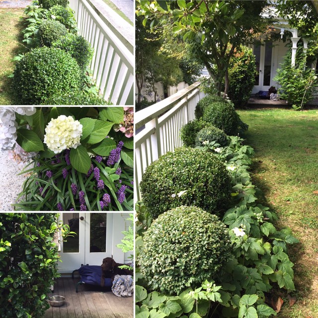 A selection Mt Victoria, Roseneath, Seatoun, Northland, Wadestown