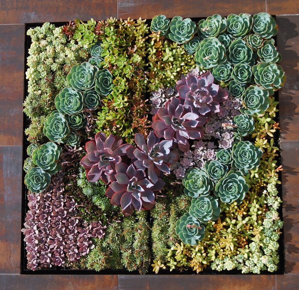 Design ideas for an industrial landscaping in Los Angeles.