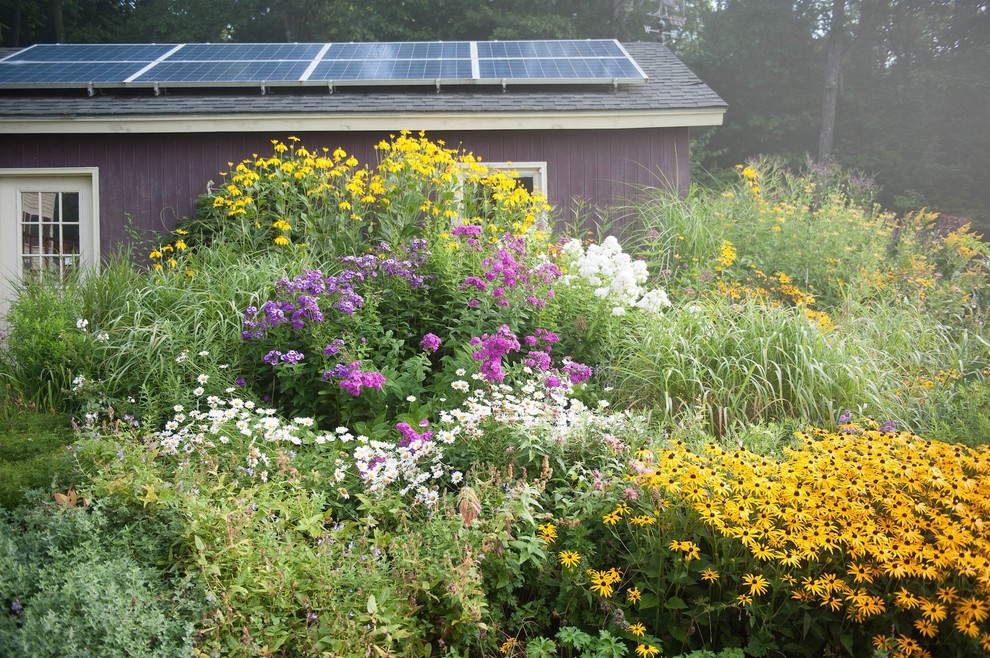 Свежая идея для дизайна: огромный солнечный участок и сад на заднем дворе в стиле фьюжн с хорошей освещенностью - отличное фото интерьера