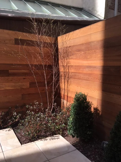 Geometrischer, Großer Moderner Garten im Frühling mit direkter Sonneneinstrahlung in Washington, D.C.