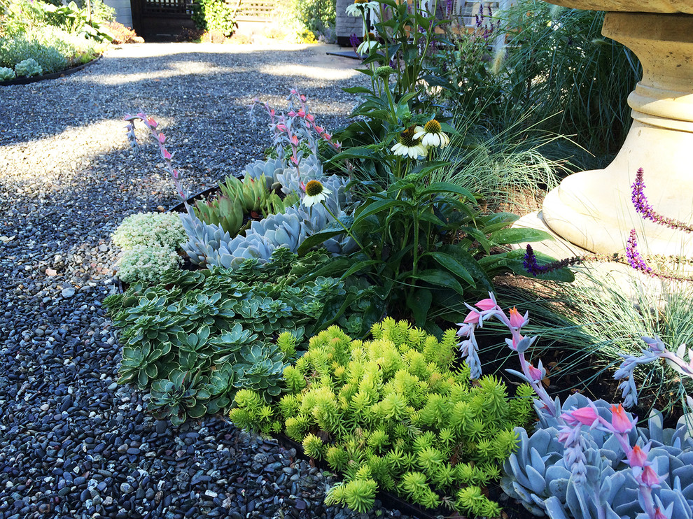 This is an example of a medium sized mediterranean back xeriscape full sun garden for summer in San Francisco with a garden path and gravel.