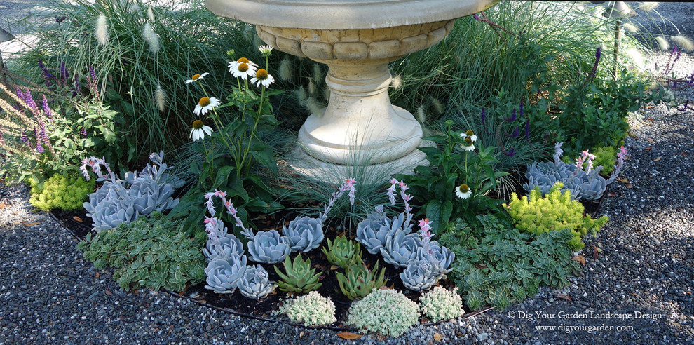 Design ideas for an expansive classic back xeriscape full sun garden for summer in San Francisco with a water feature and gravel.