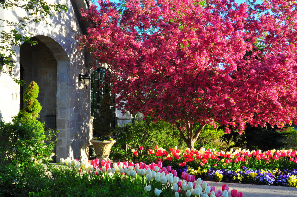 Стильный дизайн: весенний участок и сад на переднем дворе в классическом стиле с дорожками - последний тренд