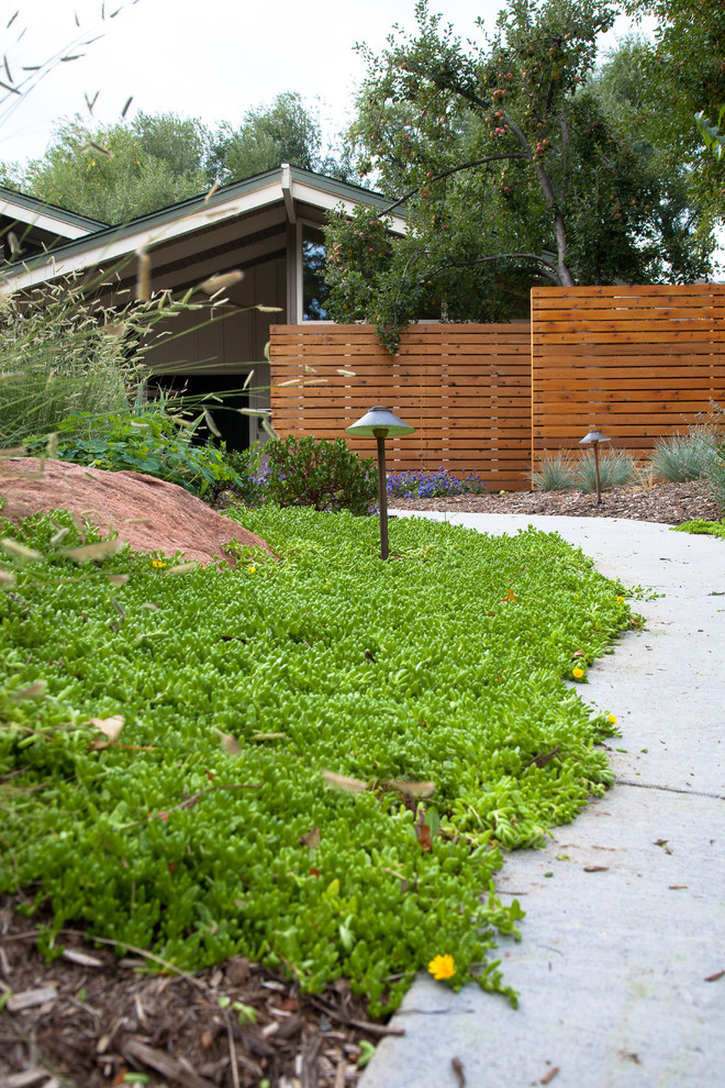 Design ideas for a contemporary landscaping in Denver.