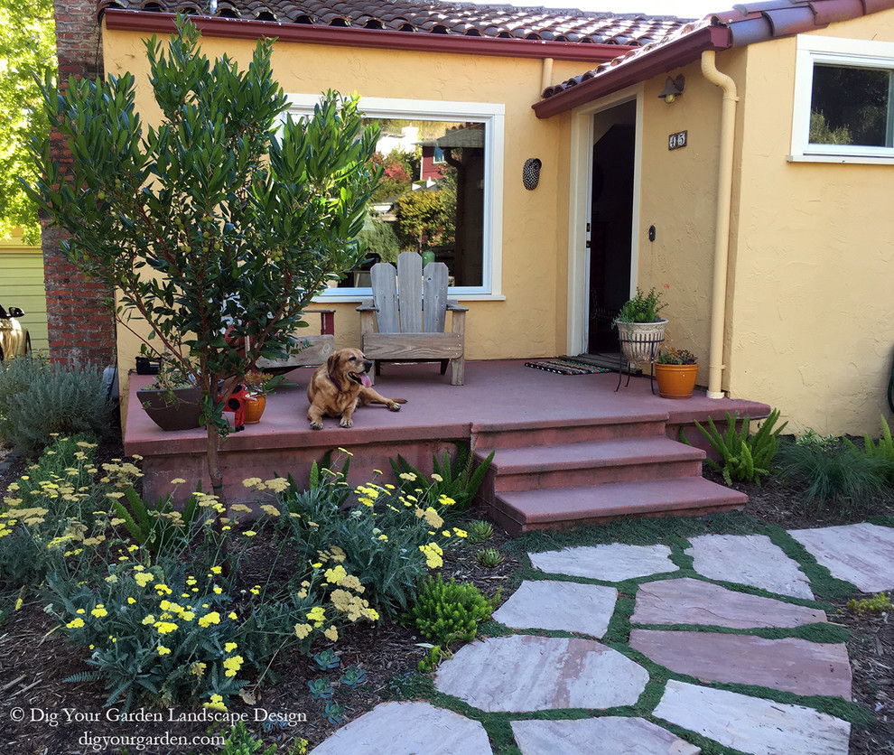 A Vibrant Updated Landscape For A SpanishStyle Bungalow in San Anselmo