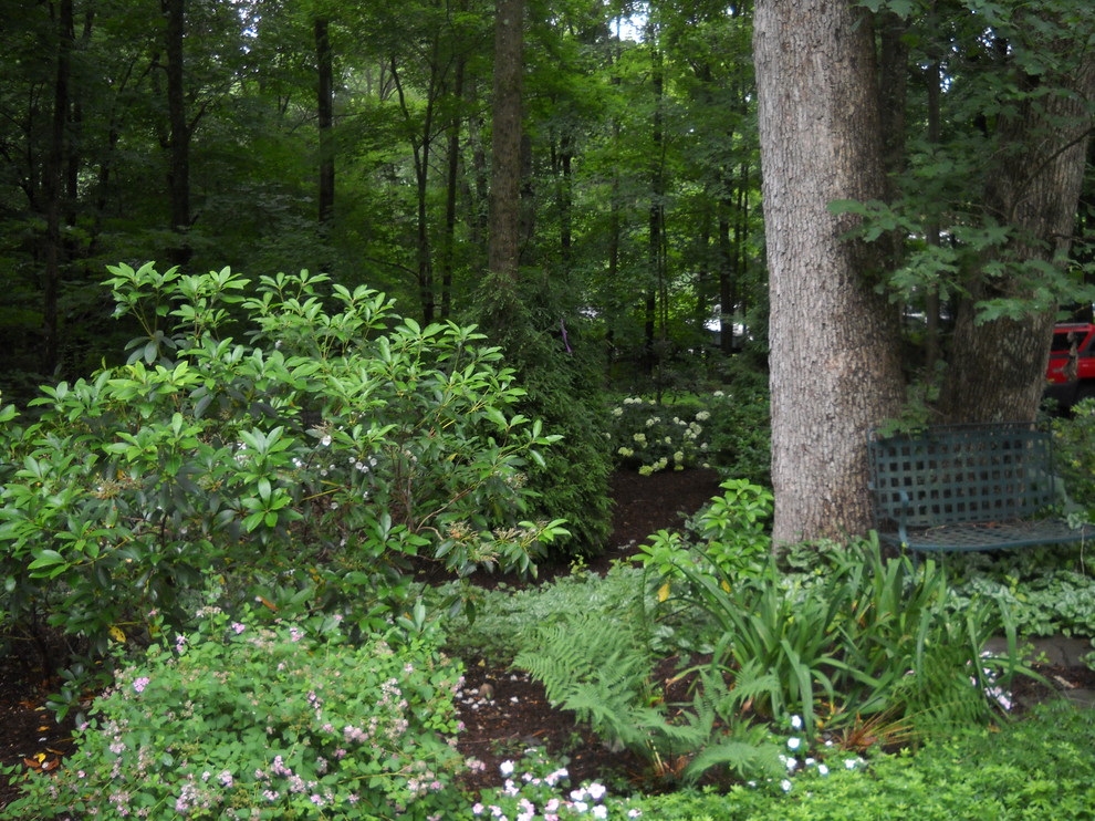 Exemple d'un jardin arrière montagne l'été avec une exposition ombragée et un paillis.