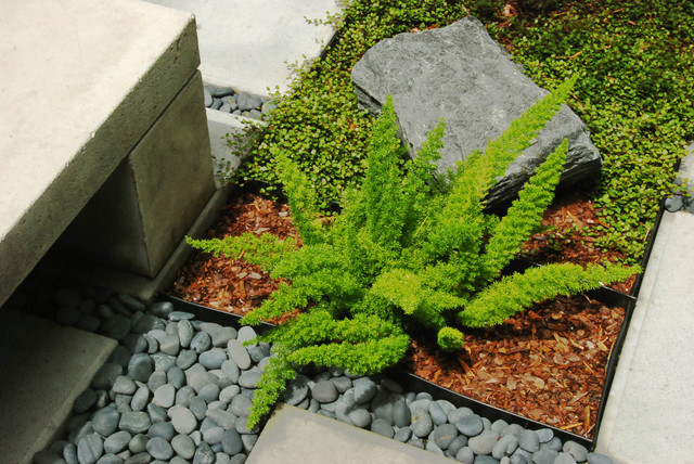 A Zen Garden in 225 sq ft - Asian - Landscape - Orlando - by 