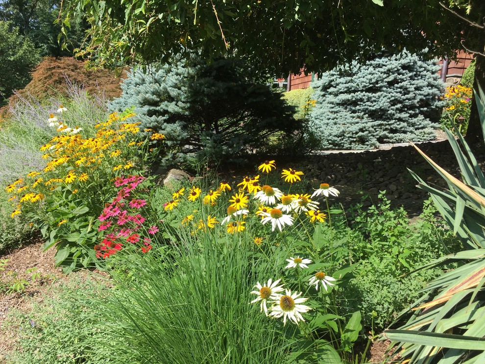 Foto di un giardino esposto in pieno sole in estate