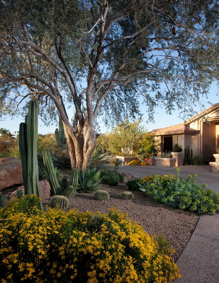 На фото: засухоустойчивый сад на переднем дворе в стиле фьюжн с пустынными растениями