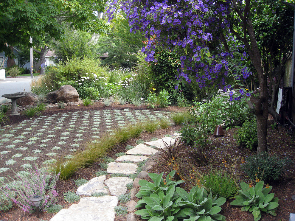 Idee per un giardino mediterraneo esposto a mezz'ombra di medie dimensioni e davanti casa in estate con un ingresso o sentiero e pavimentazioni in pietra naturale
